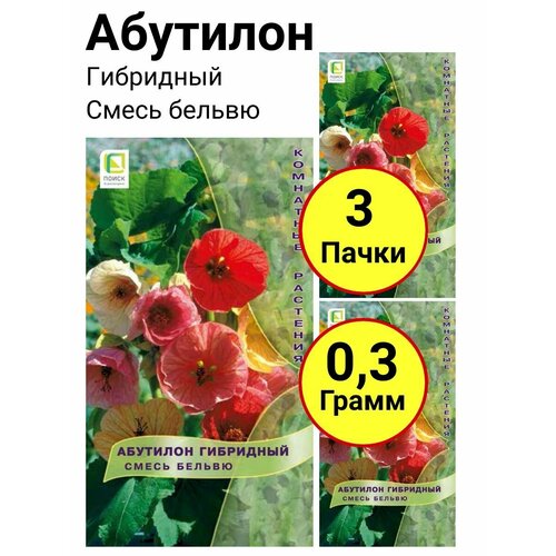 Абутилон гибридный Смесь бельвю 0,1 грамм, Поиск - 3 пачки фото, описание