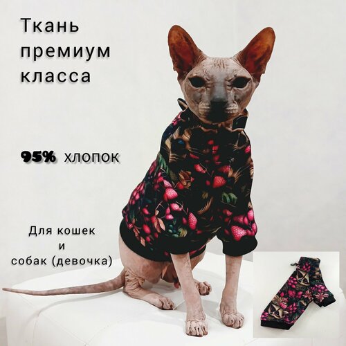 фото Толстовка для кошек и собак мелких пород, купить онлайн за 930 рубл.