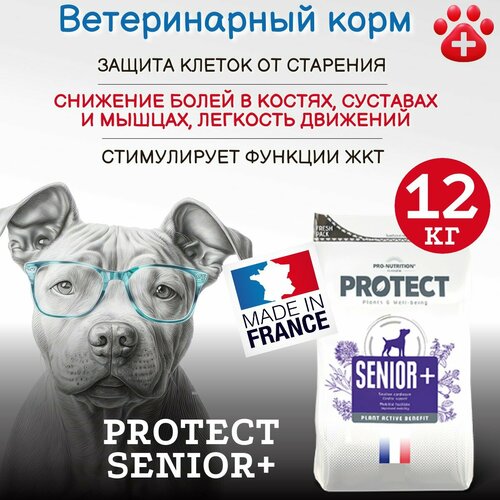 Корм для собак Pro-Nutrition Flatazor Protect Senior+ замедляющий процессы старения (12 кг) фото, описание