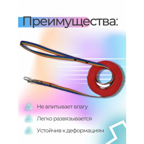 Поводок Хвостатыч для собак нейлоновый классический 1 м х 10 мм (радуга) фото, описание