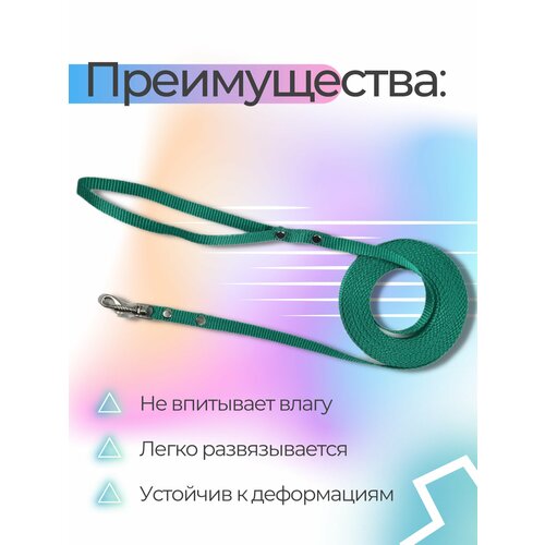 Поводок Хвостатыч для собак нейлоновый классический 5 м х 10 мм (бирюзовый) фото, описание