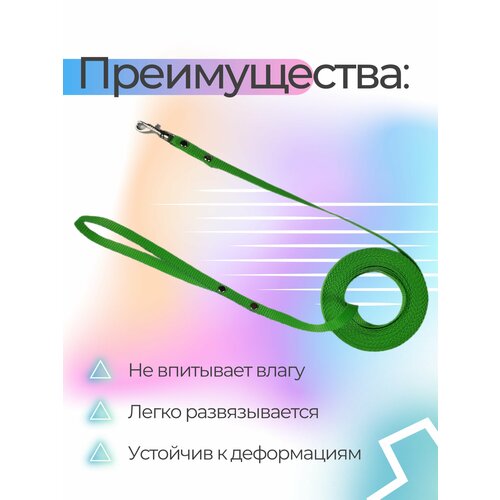 Поводок Хвостатыч для собак нейлоновый классический 2 м х 10 мм (салатовый) фото, описание