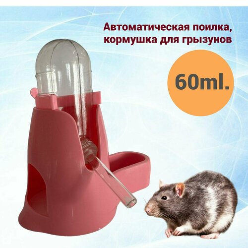 Поилка, кормушка для грызунов 60ml, розовая фото, описание