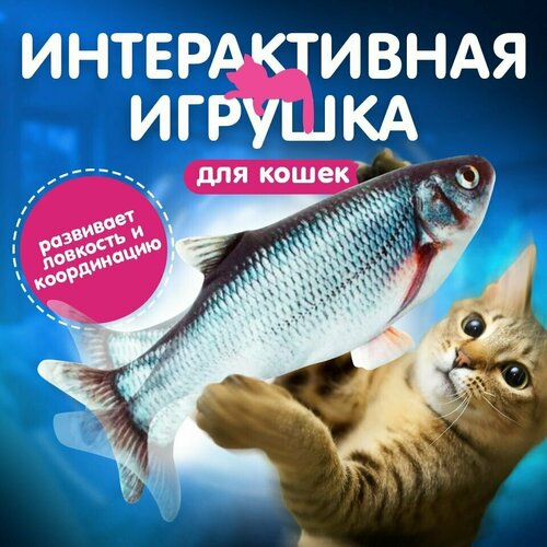 Мягкая игрушка для кошек интерактивная/ рыба механическая/Карась фото, описание