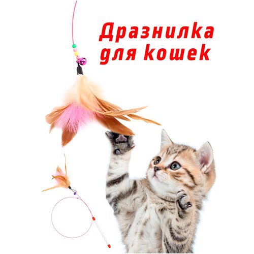 Игрушка для кошек / Дразнилка для котов / Игрушки для животных. фото, описание