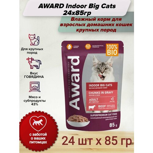 AWARD Indoor Big Cats влажный корм для взрослых домашних кошек крупных пород, кусочки в соусе с говядиной, в паучах - 85 г х 24 шт фото, описание