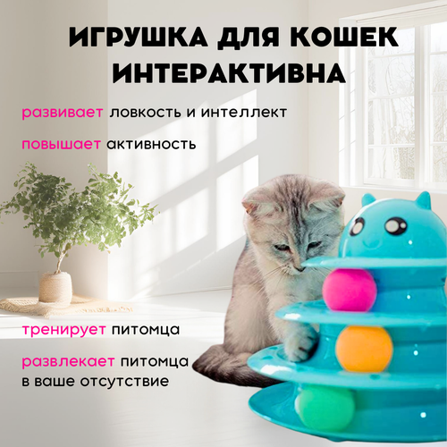 Игрушка интерактивная для кошек и котят, Трек-игрушка для животных, ZOOWELL, голубая фото, описание