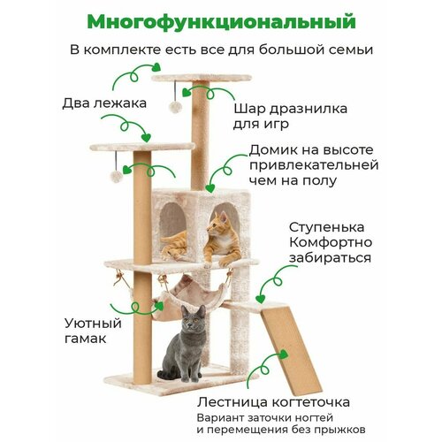 Когтеточка с домиком лестницей ZURAY 61х36х135 фото, описание