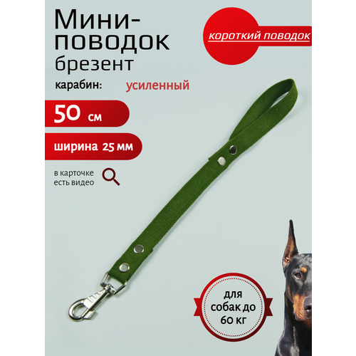 Мини-Поводок-водилка для собак Хвостатыч брезентовый с карабином (Зелёный) 50 см х 25 мм фото, описание