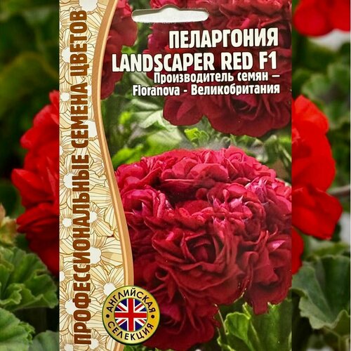 Семена многолетних цветов для дома и сада Пеларгония Landscaper Red герань многолетник фото, описание