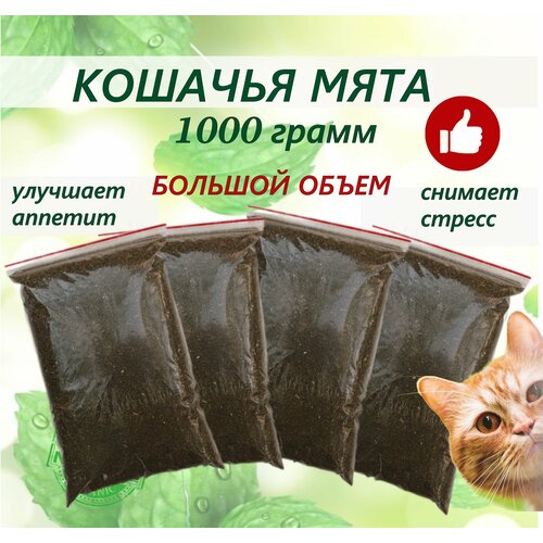 Кошачья мята лакомство для кошек 1 кг. Котовник сушенный. Для приучения к месту, коррекции поведения, успокоительное. фото, описание