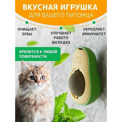 Игрушка для кошек мятное авокадо. Кошачья мята для чистки зубов и расслабляющий эффект на домашних животных. Loloki фото, описание