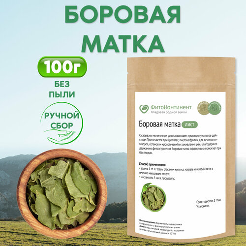 Боровая матка листья, 100 гр фото, описание