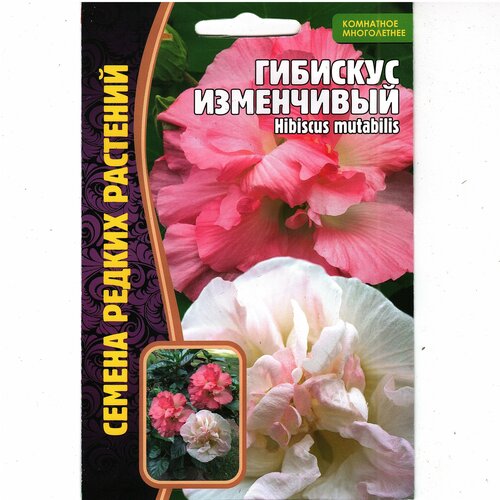 Гибискус изменчивый/ Hibiscus mutabilis, комнатный многолетник ( 1уп: 10 семян ) фото, описание