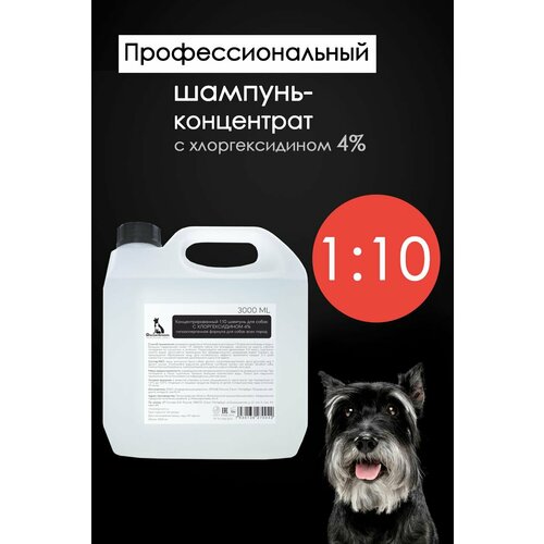 Профессиональный антибактериальный, противомикробный, противогрибковый шампунь для собак всех пород Doctor Groom, 3л фото, описание