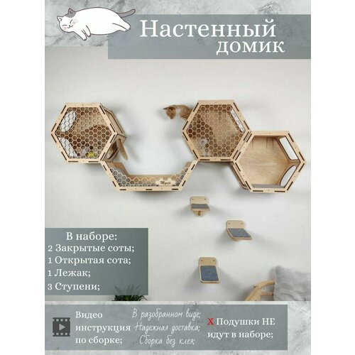 Игровой комплекс настенный, лежанка и домик из дерева для кошки фото, описание