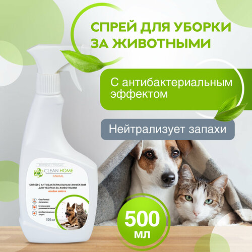 Средство Clean Home антисептик для уборки за животными удаление запахов фото, описание