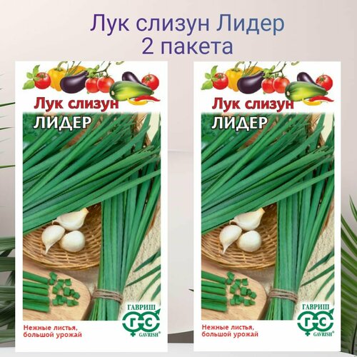 фото Лук слизун Лидер 2 пакета по 0,5г семян, купить онлайн за 379 рубл.