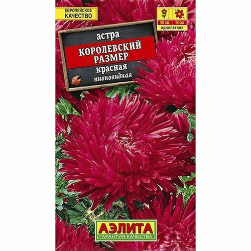 Семена Астра Королевский размер, красная, пионовидное, однолетник, (Аэлита) 0,1г фото, описание