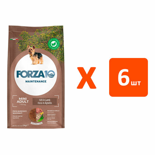 FORZA10 DOG MAINTENANCE ADULT SMALL/MEDIUM для взрослых собак маленьких и средних пород с ягненком и рисом (2 кг х 6 шт) фото, описание