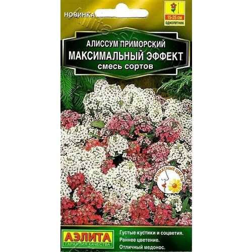 Семена Алиссум Максимальный эффект (смесь сортов) 0,05г (Аэлита) фото, описание