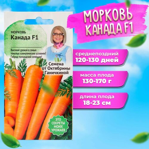 Морковь Канада F1 0,3 г фото, описание