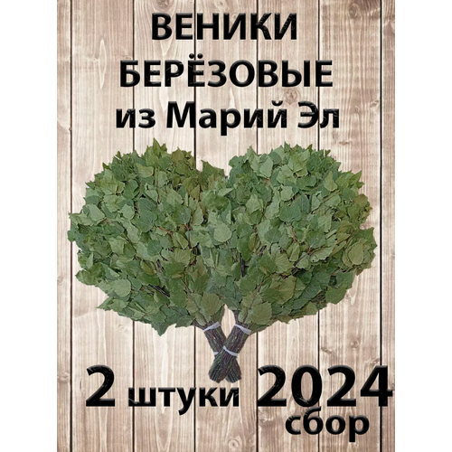 Веник березовый для бани 2 штуки Марий Эл, сбор 2024 года фото, описание