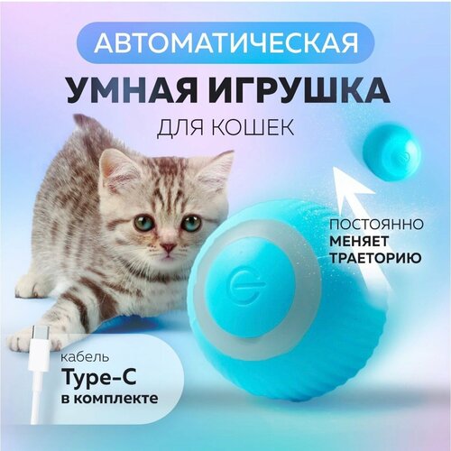 Игрушка для кошек умный мяч фото, описание