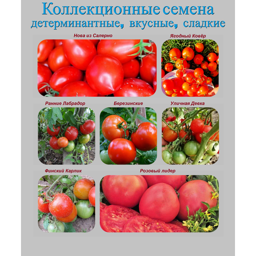 фото Набор коллекционных семян детерминантных томатов, купить онлайн за 555 рубл.