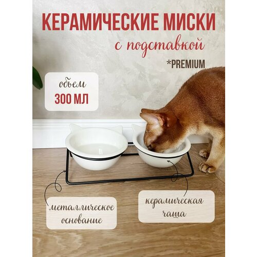 Миска для собак и кошек керамика фото, описание