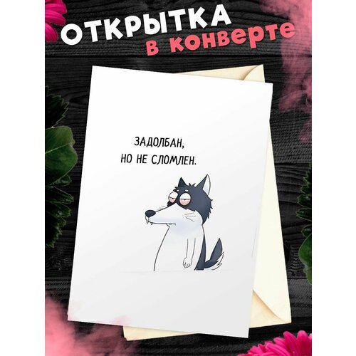 Открытка для посткроссинга А6 в конверте с приколом фото, описание