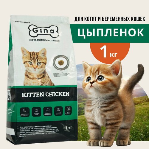 Корм для котят, беременных и кормящих кошек сухой Gina Kitten Chicken, цыпленок, утка, 1 кг фото, описание