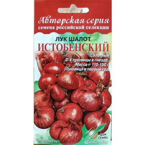 Лук Шалот Истобенский, семейный салатный лук, 3-4 луковицы в гнезде, мякоть белая сочная нежная, высокая урожайность, луковица в первый год, 17 семян фото, описание