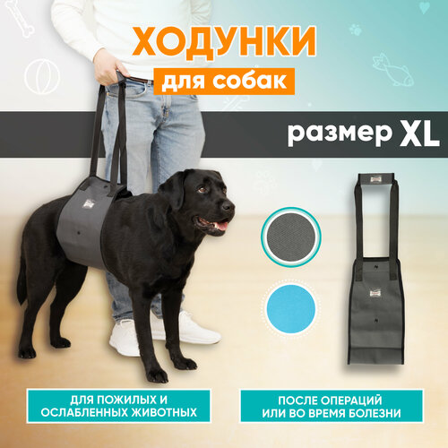 Задняя поддержка для собак, ходунки для собак Mr Dog серая, XL фото, описание