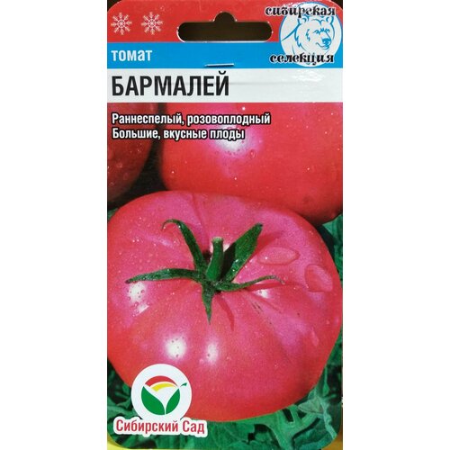 Томат Бармалей (Сибирский сад), раннеспелый розовоплодный, большие вкусные плоды, 20 семян фото, описание