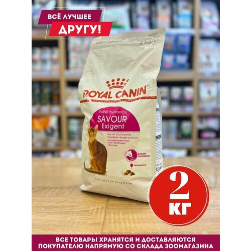 Корм сухой Royal Canin Savour для привередливых кошек 2 кг фото, описание