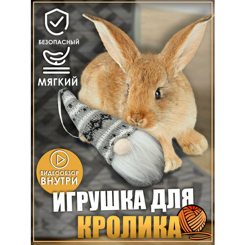 Игрушка для кролика, гномик, игрушки для грызунов, игрушки для животных фото, описание