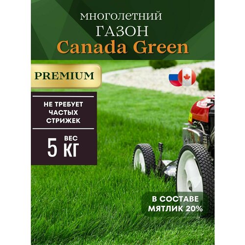 Газонная трава семена низкорослый 5 кг Canada Green Premium фото, описание