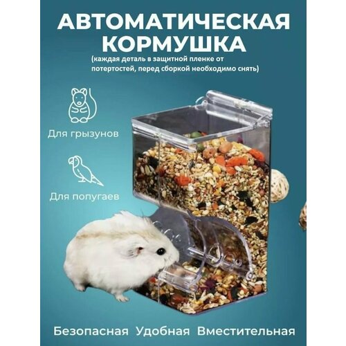 Автоматическая кормушка для грызунов фото, описание