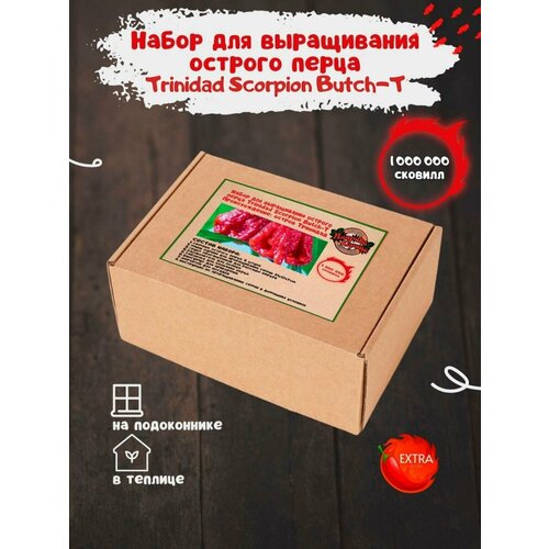 Набор для выращивания острого перца Тринидад скорпион в домашних условиях, мини парник для рассады фото, описание