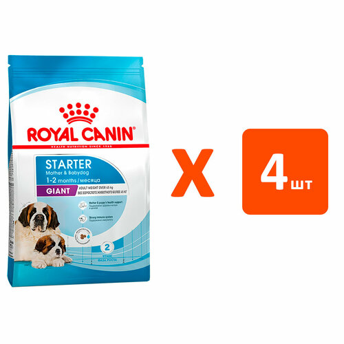 ROYAL CANIN GIANT STARTER для щенков крупных пород до 2 месяцев, беременных и кормящих сук (4 кг х 4 шт) фото, описание