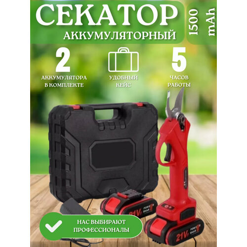 Аккумуляторный секатор-сучкорез Smart, 21 В, 2 А*ч, 2 аккумулятора, кейс фото, описание