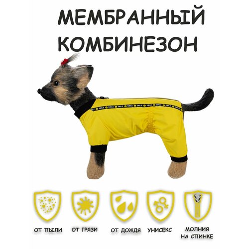 Дождевик для собак DOGMODA Мартин (желтый) унисекс , р. 3, 28см фото, описание