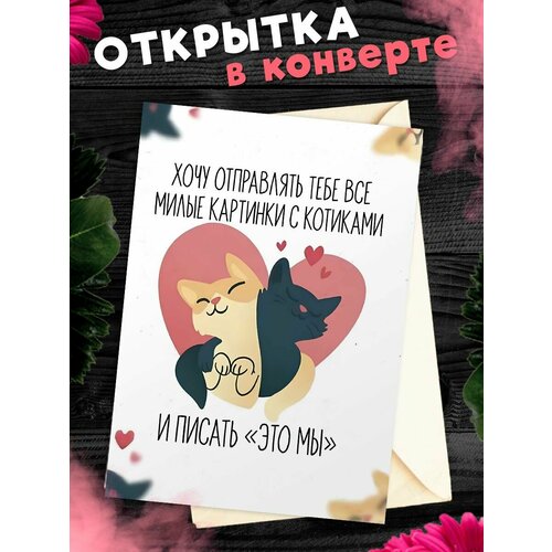 Открытка А6 в конверте милая с котиками фото, описание