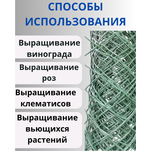 Сетка садовая пластиковая для плетистых роз яч.50х50мм 1х5м фото, описание