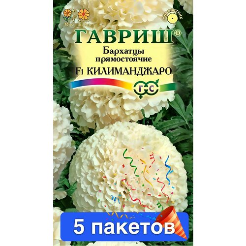 Цветы Бархатцы прямостоячие Килиманджаро F1 5 пакетов фото, описание