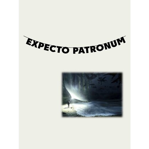 Гирлянда бумажная растяжка из букв черная - EXPECTO PATRONUM фото, описание