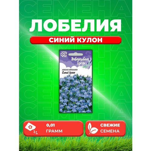 Лобелия Синий кулон, ампельная 0,01 г, Лавандовые грезы фото, описание