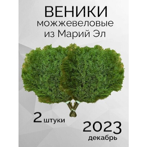 Можжевеловые веники для бани из Марий Эл в коробке 2 штуки фото, описание