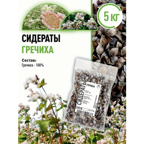 Гречиха 5 кг сидерат семена фото, описание